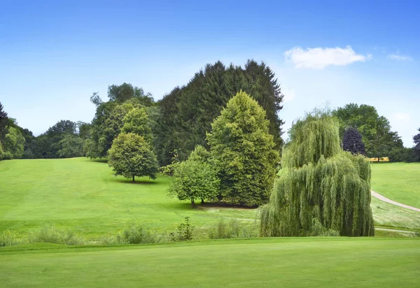 Idyllic park or golf course — Stock Photo, Image