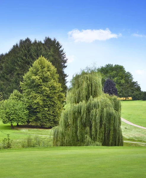 Idyllic golf course or park with forest — Stock Photo, Image