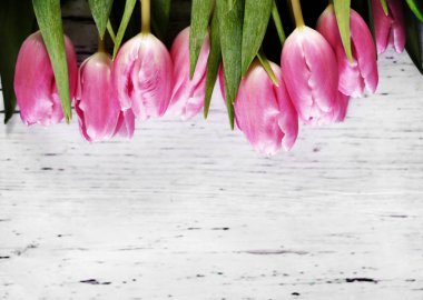 Bahar arka plan kopya alanı ve pembe bahar çiçekleri ile