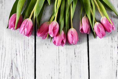 Bahar arka plan kopya alanı ve pembe bahar çiçekleri ile