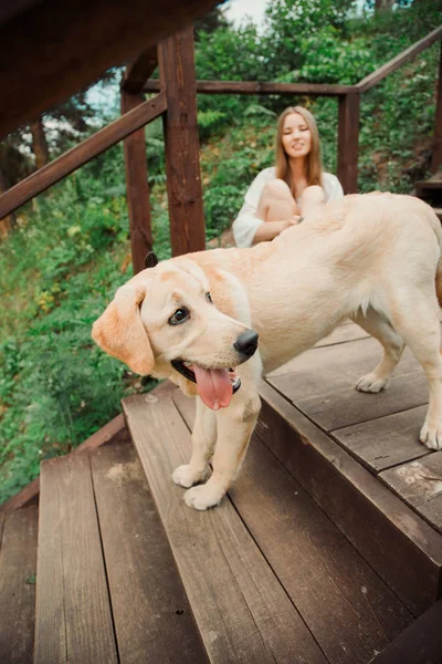 美しい少女と彼女の犬 — ストック写真
