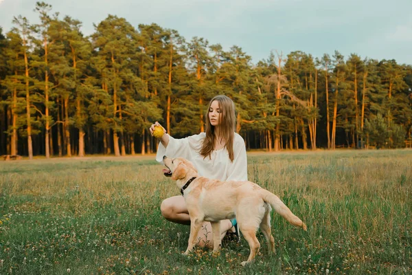 美しい少女と彼女の犬 — ストック写真