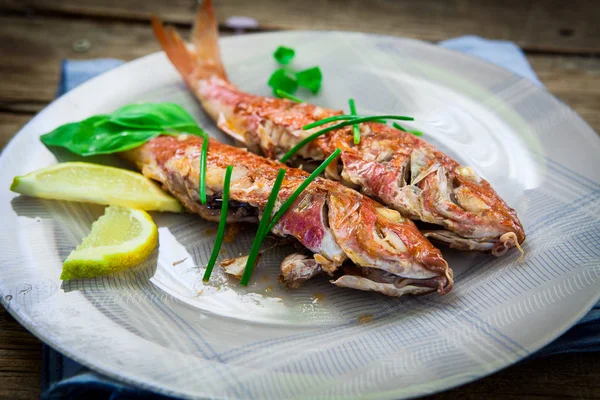 Estilo Pez Salmonete Rojo —  Fotos de Stock