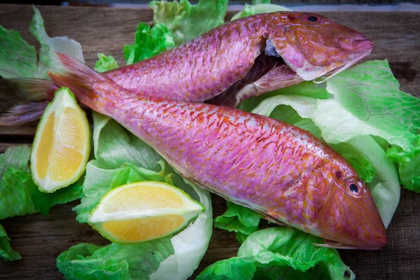 Red Mullet Fish Style — Stock Photo, Image