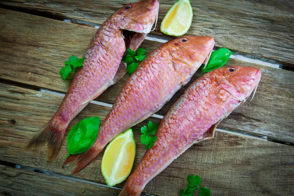 Red Mullet Fish Style — Stock Photo, Image