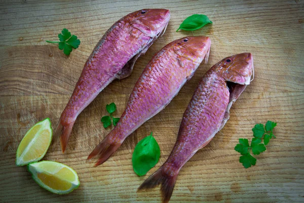 Red Mullet Fish Style — Stock Photo, Image
