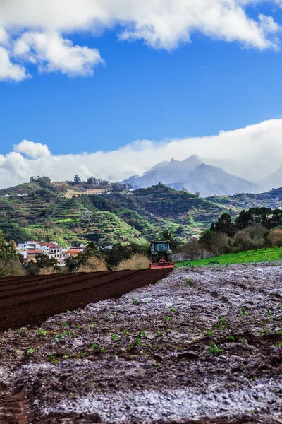 Patates alanda traktör — Stok fotoğraf