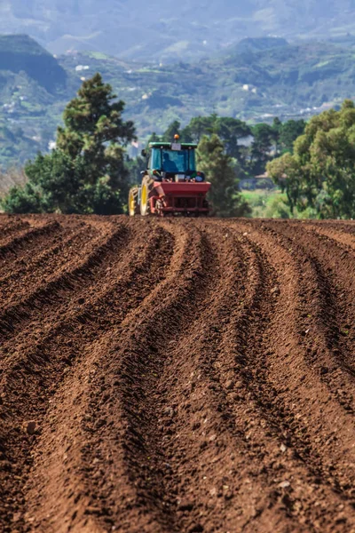 Traktor på potatis fält — Stockfoto