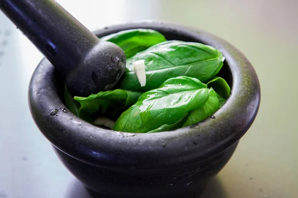 Preparing pesto sauce — Stock Photo, Image