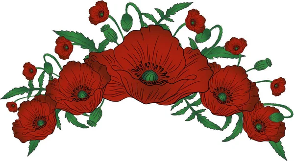 Kreis Aus Mohnblumen Element Für Design Vektor Illustration — Stockvektor