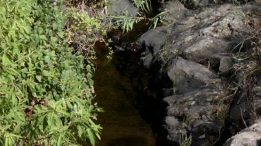 Akış su ve doğa rahatla hafif Rüzgar