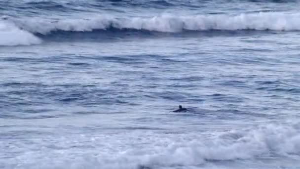 Surfer im Meer, Wellen, blauer Himmel, Sport und Spaß Teneriffa Beach Surf Atlantik — Stockvideo