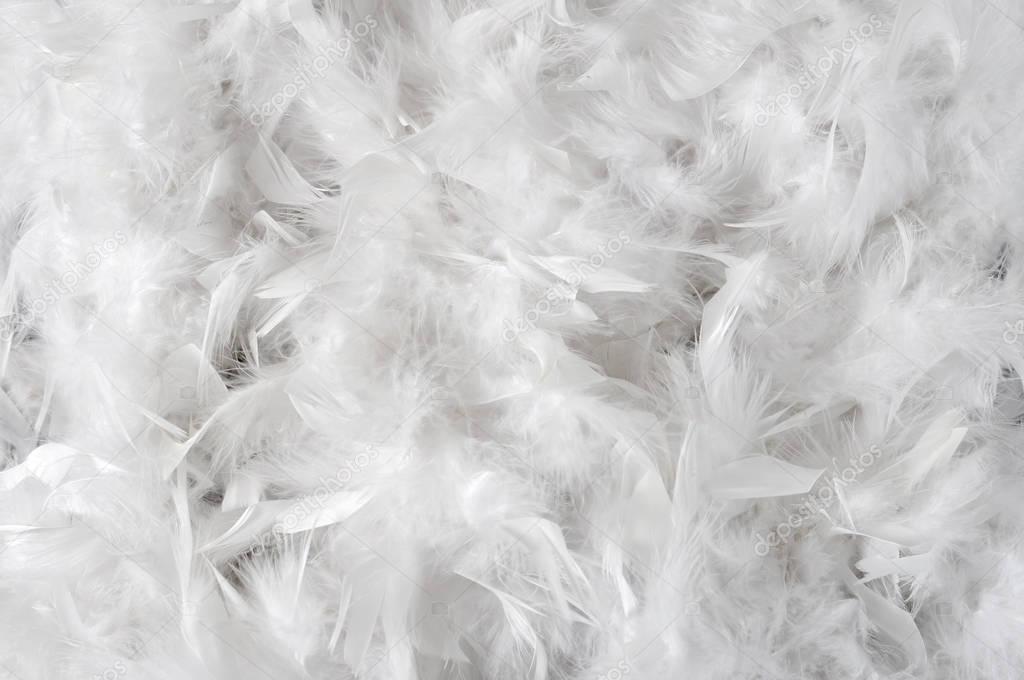 White feathers background — Stock Photo © Valentyna7 #139879940