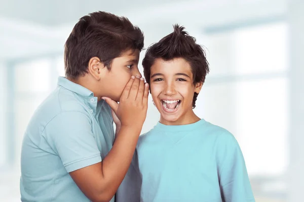 Dois meninos felizes fofocando — Fotografia de Stock