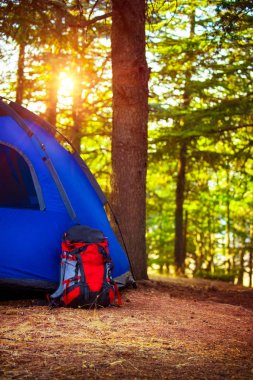 etkin yaz tatil kavramı