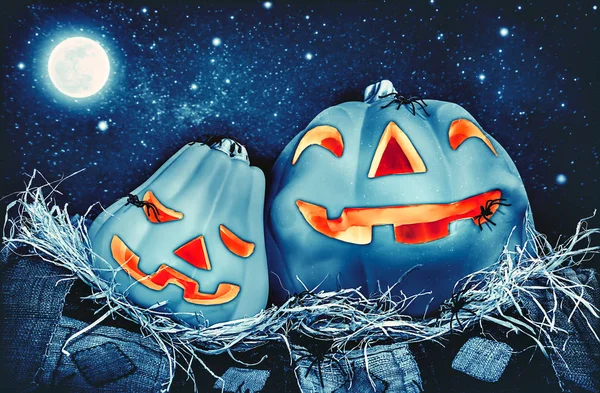 Натюрморт из тыквы на Хэллоуин — стоковое фото