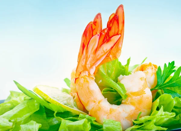 Tasty shrimp salad — Stock Photo, Image