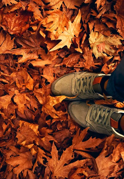 Herbstwetter-Konzept — Stockfoto