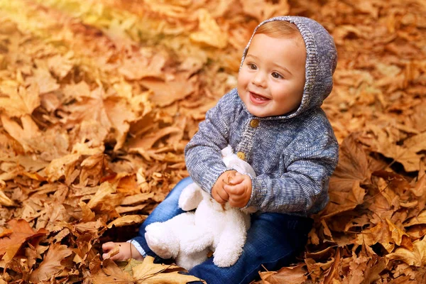 Дитячий хлопчик в осінньому парку — стокове фото