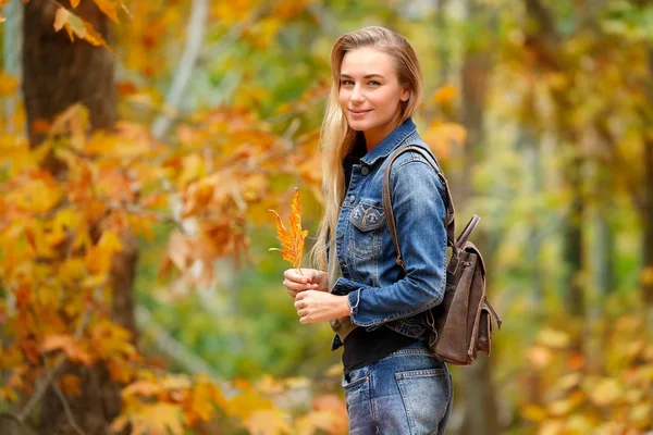 Pretty girl in autumn forest — Stock Photo, Image