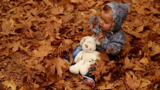 Niño pequeño en el parque de otoño. Vídeo Full HD — Vídeos de Stock