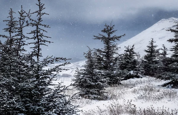 Inverno montanhas paisagem — Fotografia de Stock