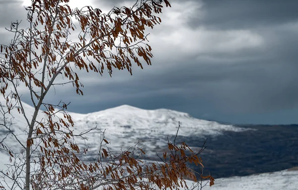 Paisagem inverno — Fotografia de Stock