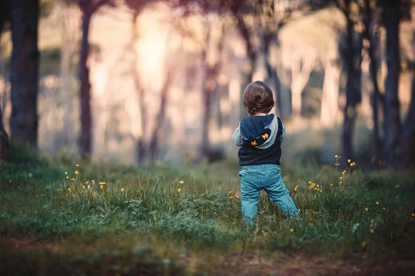 Liten pojke i skogen — Stockfoto