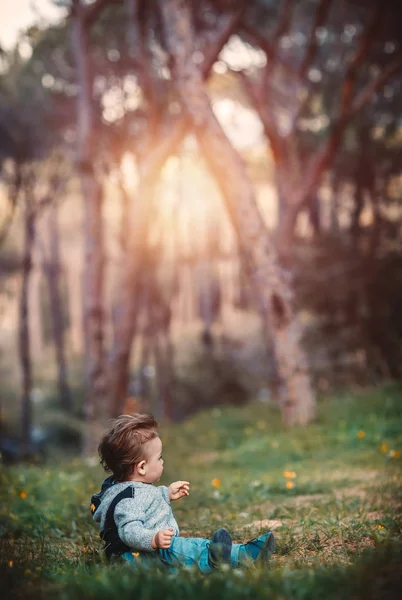 Liten pojke i skogen — Stockfoto