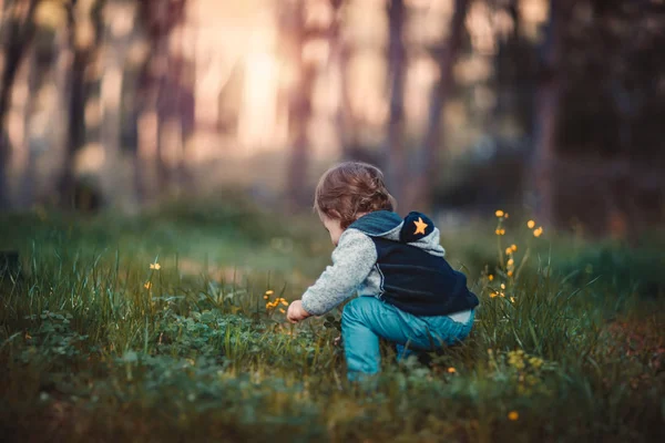 Baby pojke plockning blommor — Stockfoto