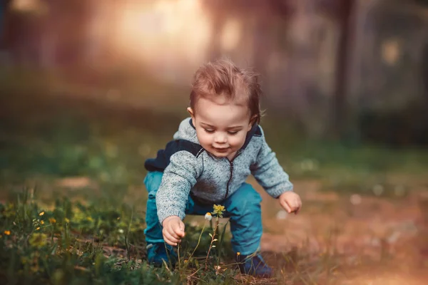 Baby fiú összegyűjti virágok — Stock Fotó