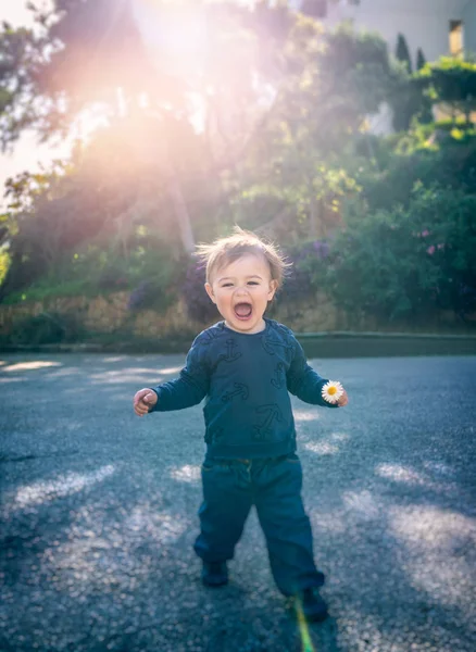 Söt glad liten pojke — 图库照片