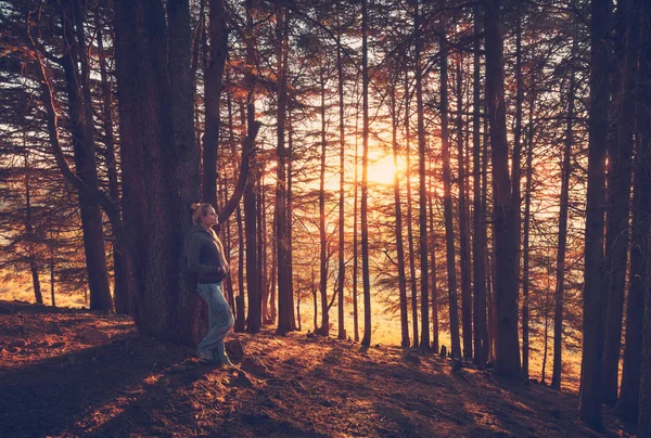 Женщина, гуляющая в осеннем лесу — стоковое фото
