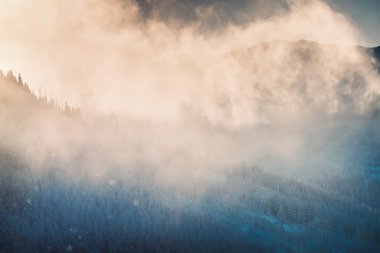 Güzel kış manzarası