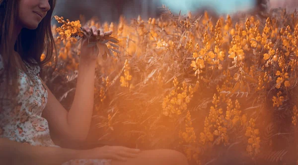 Hafif Işıklı Rüya Gibi Bir Fotoğraf Güzel Taze Çiçek Tarlalarında — Stok fotoğraf