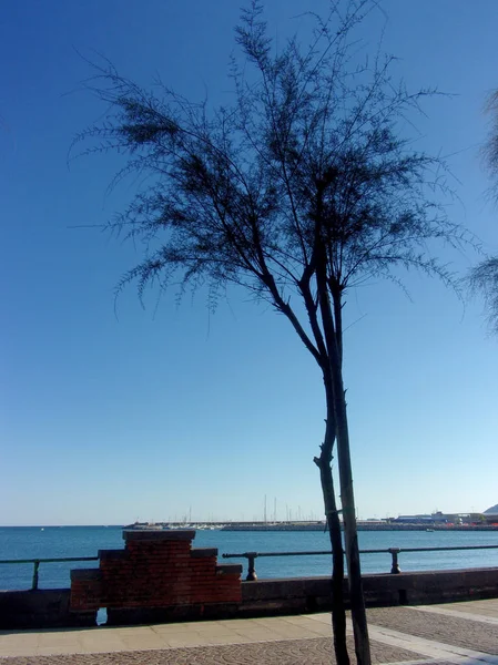 PaESAGGIO MARINOSALERNO.CAMPANIA... SUD İTALYA — Stok fotoğraf