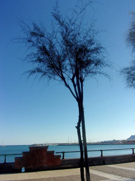 PaESAGGIO MARINOSALERNO.CAMPANIA... SUD İTALYA — Stok fotoğraf