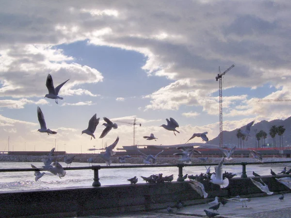 PAESAGGIO MARINO.SALERNO.CAMPANIA..｜SUD ITALIA — ストック写真