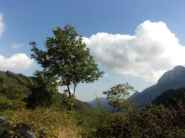 PAESAGGIO MONTANO.CAMPANIA.SUD Olaszország — Stock Fotó