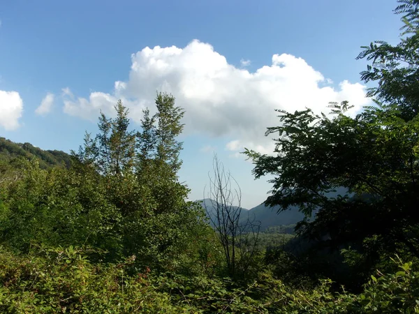 PAESAGGIO MONTANO.CAMPANIA.SUD ITALIEN — Stockfoto