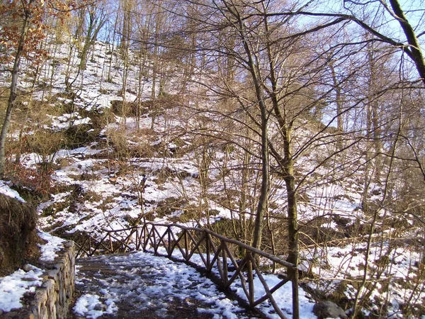 PAESAGGIO MONTANO.CAMPANIA.SUD ITALIA — Foto Stock