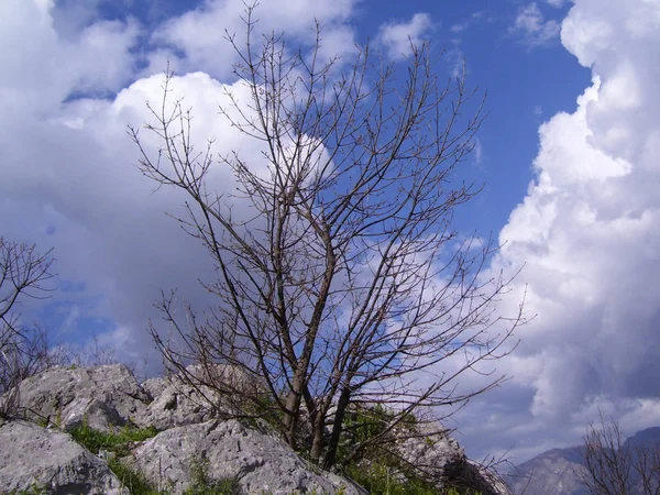 PAESAGGIO MONTANO.CAMPANIA.SUD ITALIEN — Stockfoto