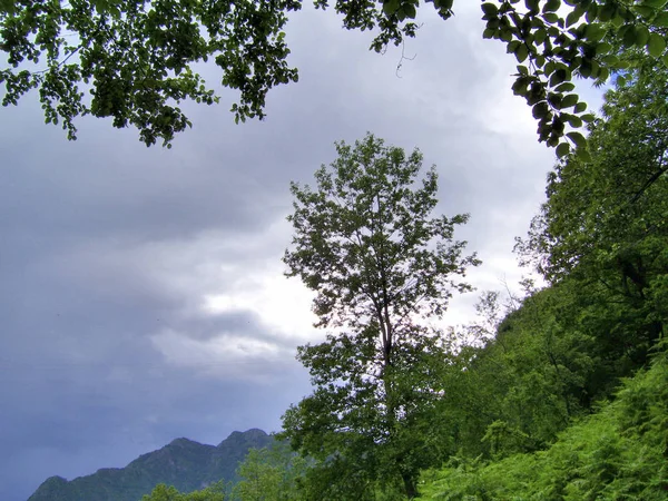 PAESAGGIO MONTANO.CAMPANIA.SUD ITALIE — Photo