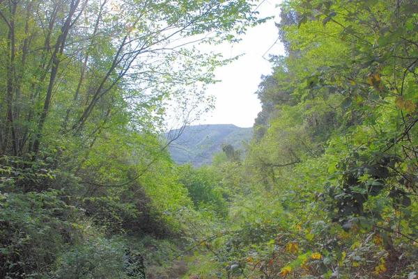 PAESAGGIO MONTANO.CAMPANIA.SUD ITALIEN — Stockfoto