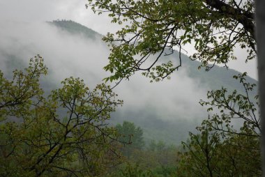 PaESAGGIO MontANOCAMPANIA.SUD İTALYA
