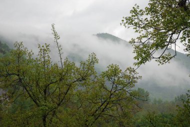 PaESAGGIO MontANOCAMPANIA.SUD İTALYA
