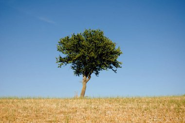 PaESAGGIO MontANOCAMPANIA.SUD İTALYA