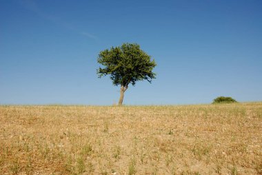 PaESAGGIO MontANOCAMPANIA.SUD İTALYA