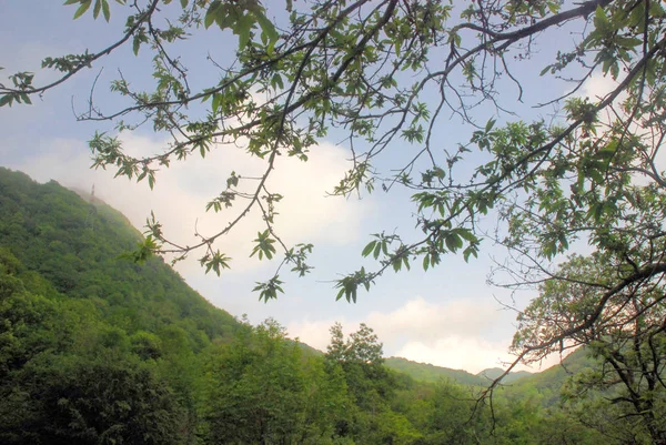 PAESAGGIO MONTANO.CAMPANIA.SUD Olaszország — Stock Fotó