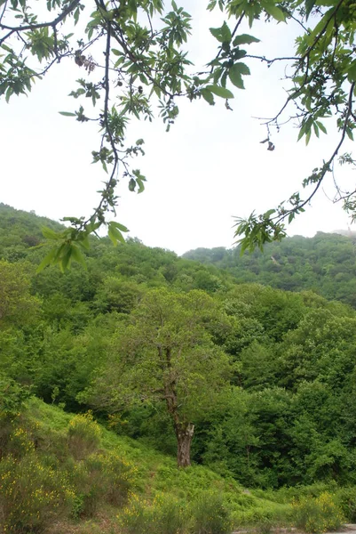 PAESAGGIO MONTANO.CAMPANIA.SUD ITALIEN — Stockfoto